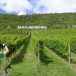 2021-08-05-09 GBI Thueringen-052_DSC00175.jpg