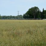 7-4_PHW_DSC0799 (4).JPG