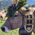 WRei_Foto 08.09.18, 16 57 29.jpg