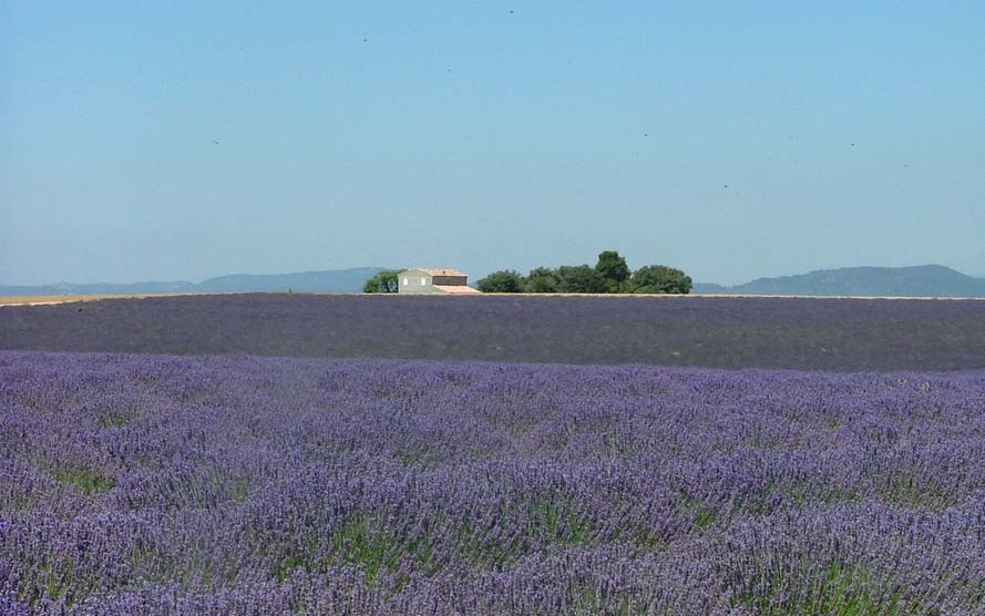 Provence 3