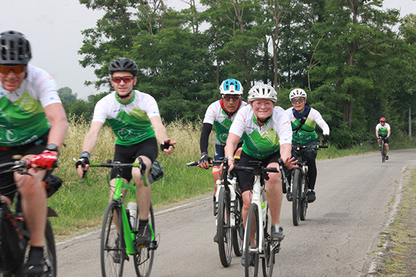 SouthAfrica V 289x583